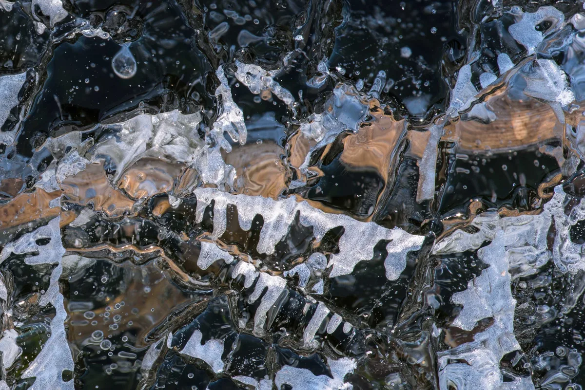 «Für solche Fotografien braucht es viel Geduld», erklärt Martin Stünzi. Die Originalfotografien von Stünzis Naturfotografie.